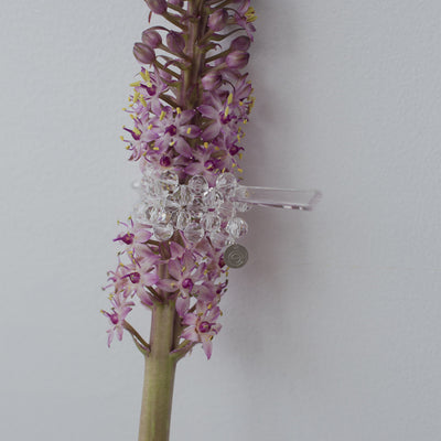 【nuEve】#1054 マジェステ(color)