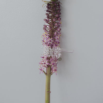 【nuEve】#1054 マジェステ(color)