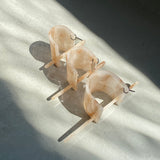 【sAn】Long sajeste (L)