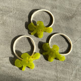 【sAn】Petiole Hair tie