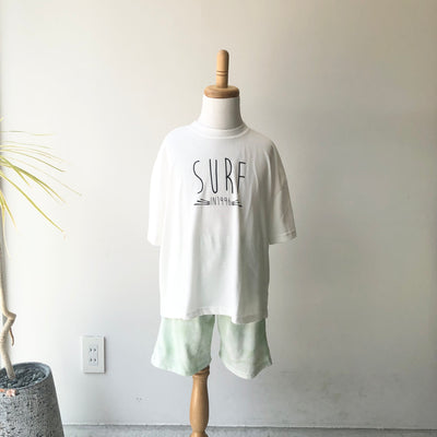 【hamomisi】Daidai setup(110~160)