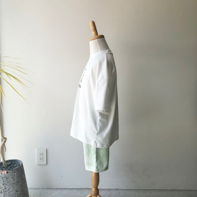 【hamomisi】Daidai setup(110~160)