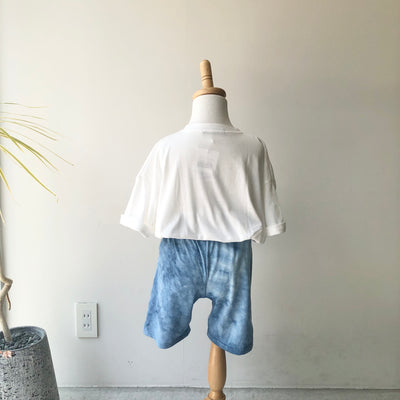 【hamomisi】Daidai setup(110~160)