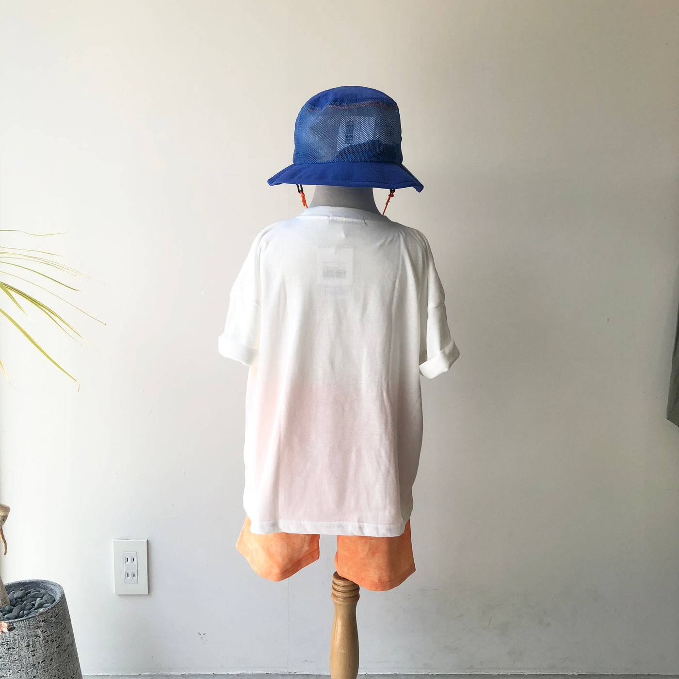 【hamomisi】Daidai setup(110~160)