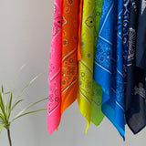 【ハモミシノオトナフク】 Paisley Bandana　