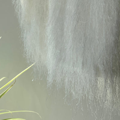 【ハモミシノオトナフク】Fringe bustier